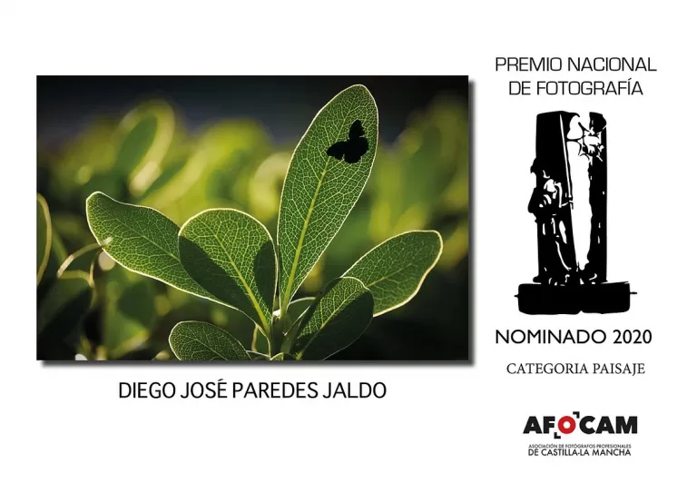 2e2c96 8c54316af5604f2fbf427eb7a7159b37 mv2 768x543